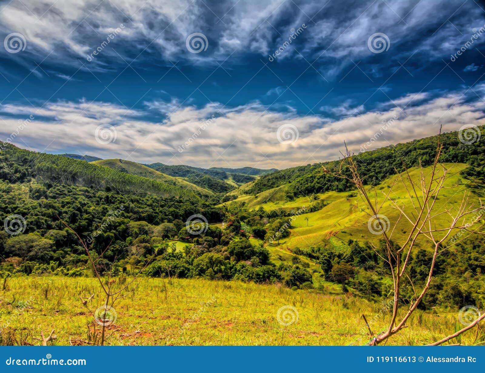 a valley in secretario, petropolis, rj, brazil