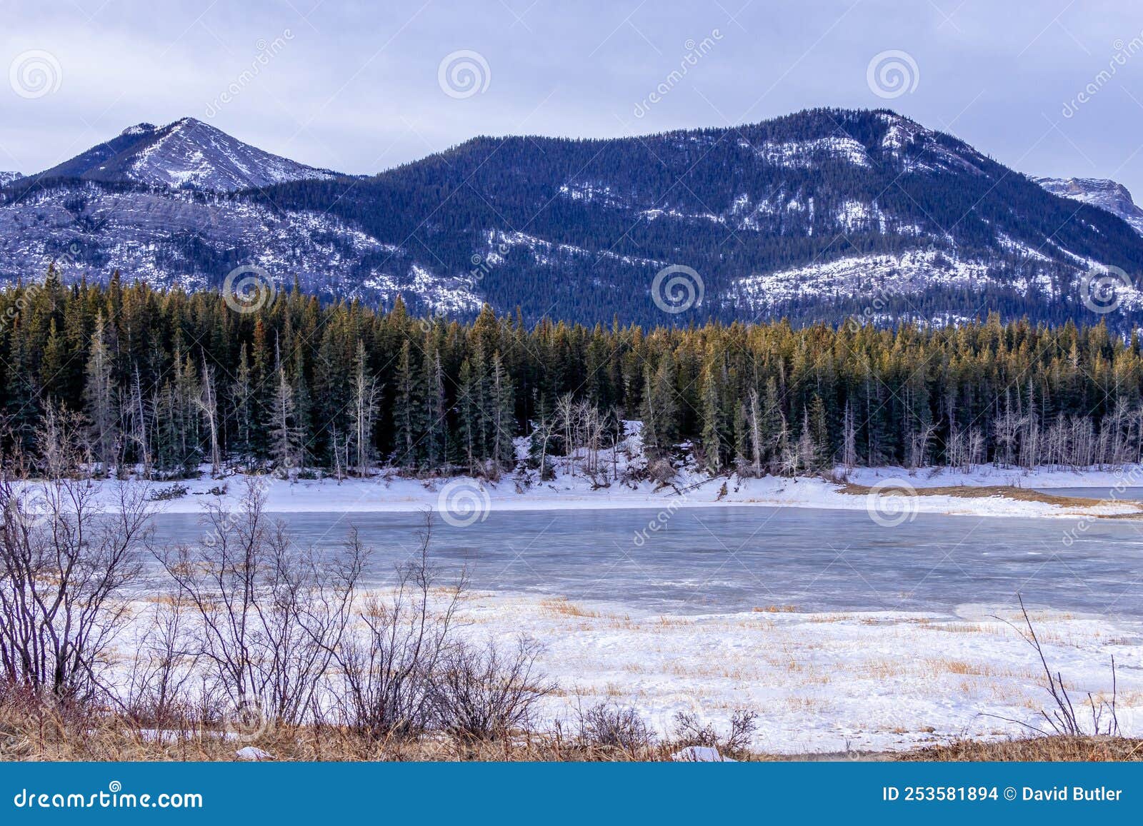 The Valley Still in the Grips of Winter, Bow Valley Provincial Park
