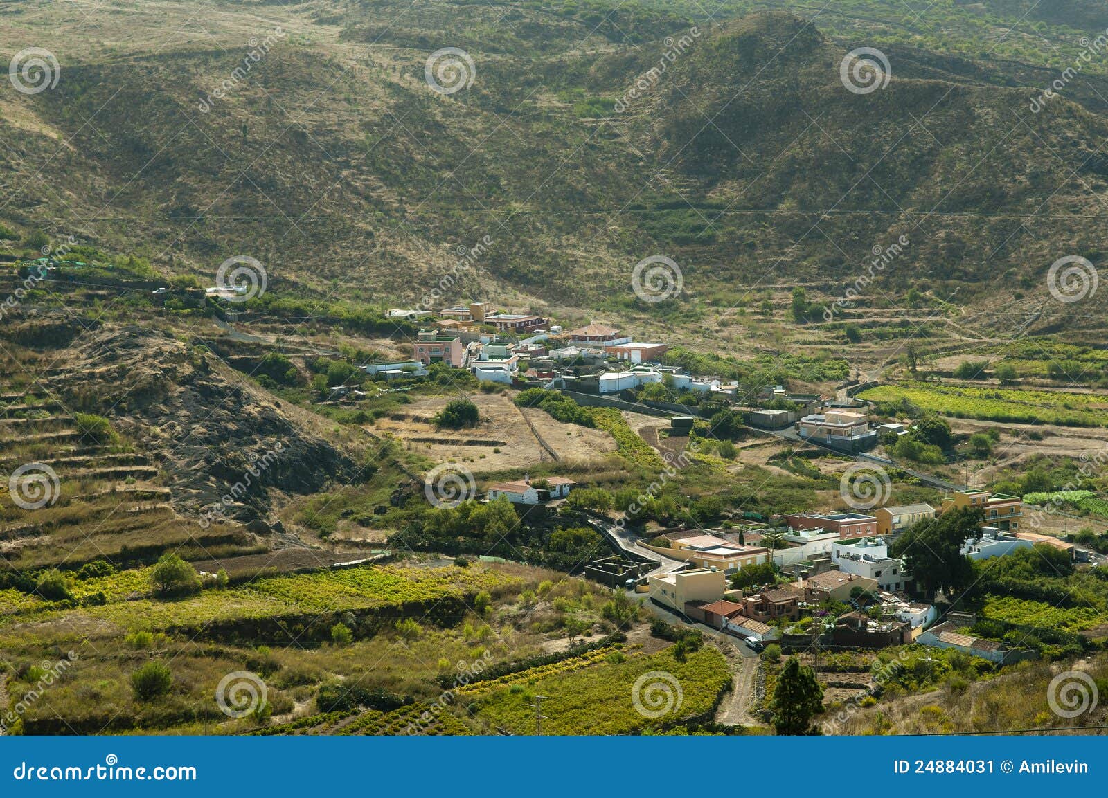 Vallée verte d'agriculture dans Tenerife, Espagne