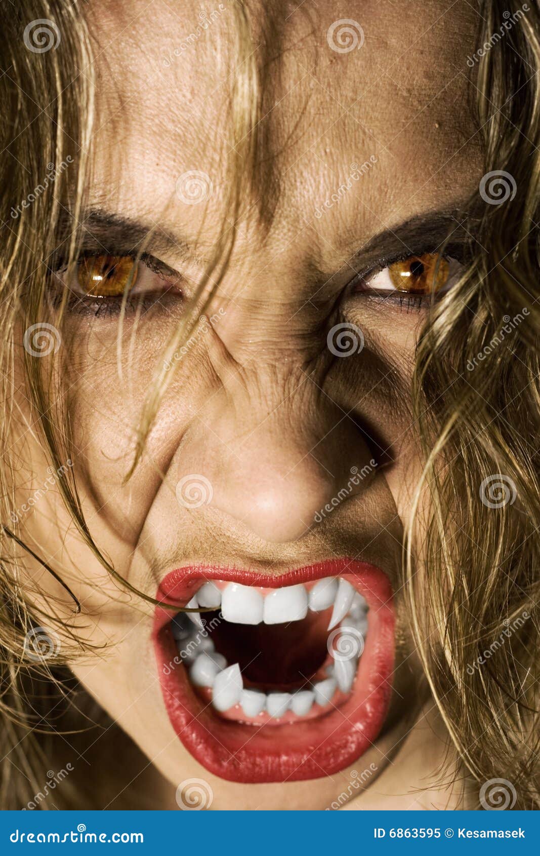 Vampiress stock image. Image of fang, angry, horror, shadow - 6863595