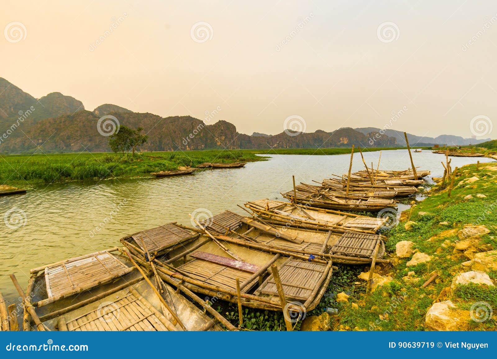 van long swamp in ninhbinh, vietnam