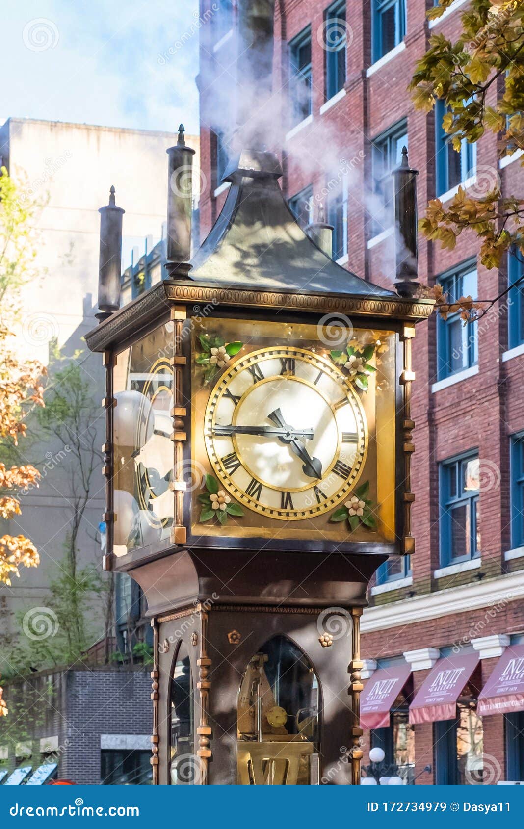 steam powered timepiece steam powered timepiece