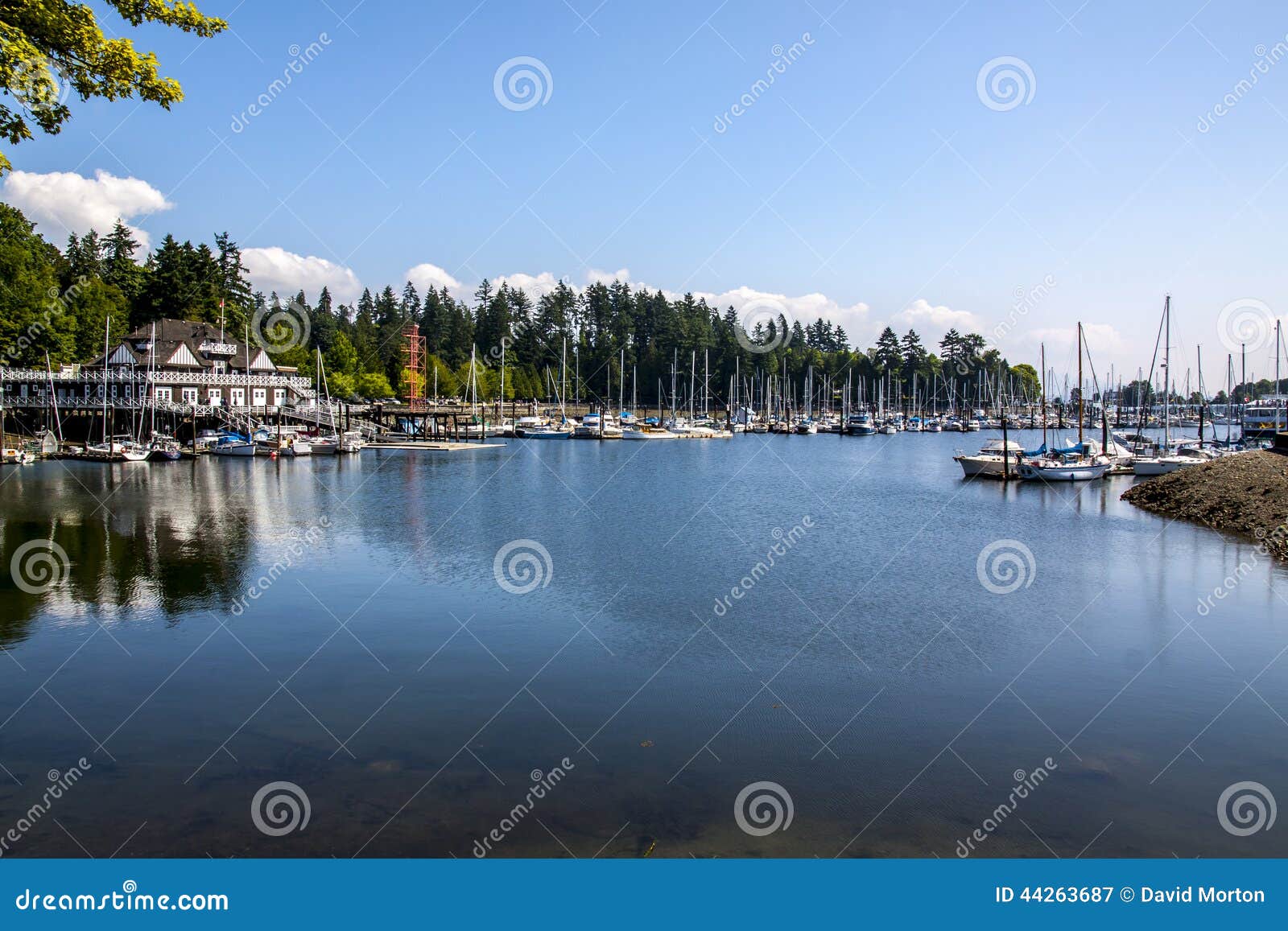Vancouver stock image. Image of club, vancouver, marina 44263687