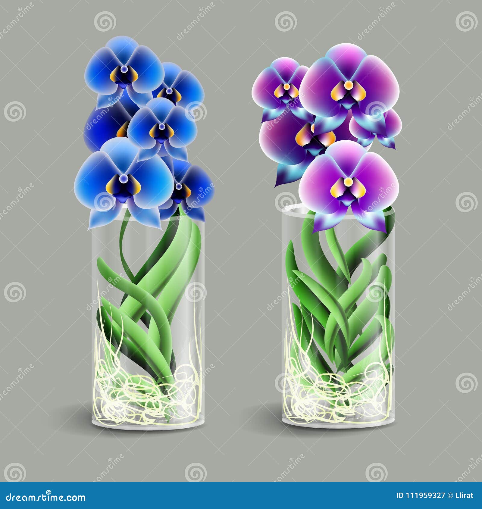Vanda Orchid in a Glass Vase. Epiphyte Tropical Flower. Element of Home  Decor. the Symbol of Growth and Ecology. Stock Vector - Illustration of  green, purple: 111959327