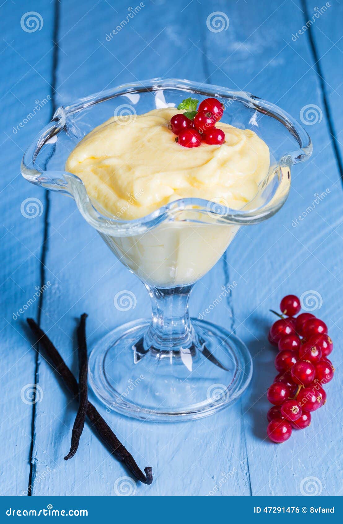 Vanilla Cream Dessert with Vanilla Bean and Currant Stock Photo Image