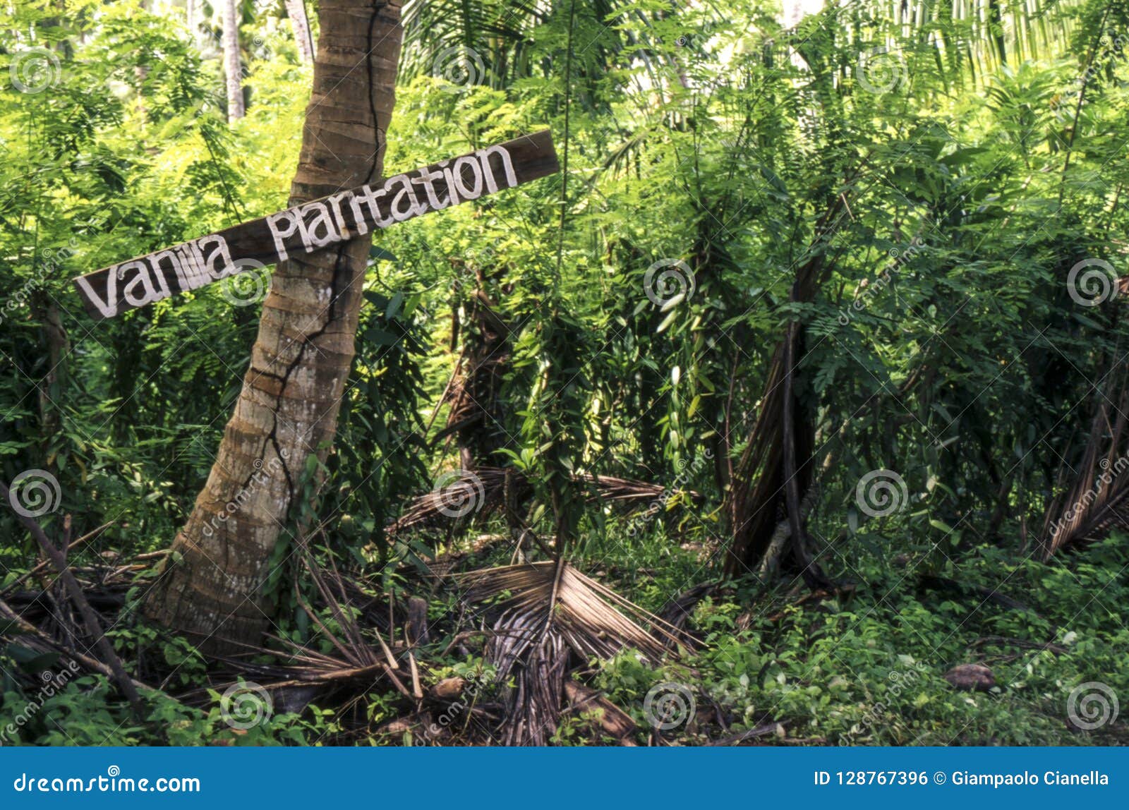 plantation vanilla digue seychelles union park la