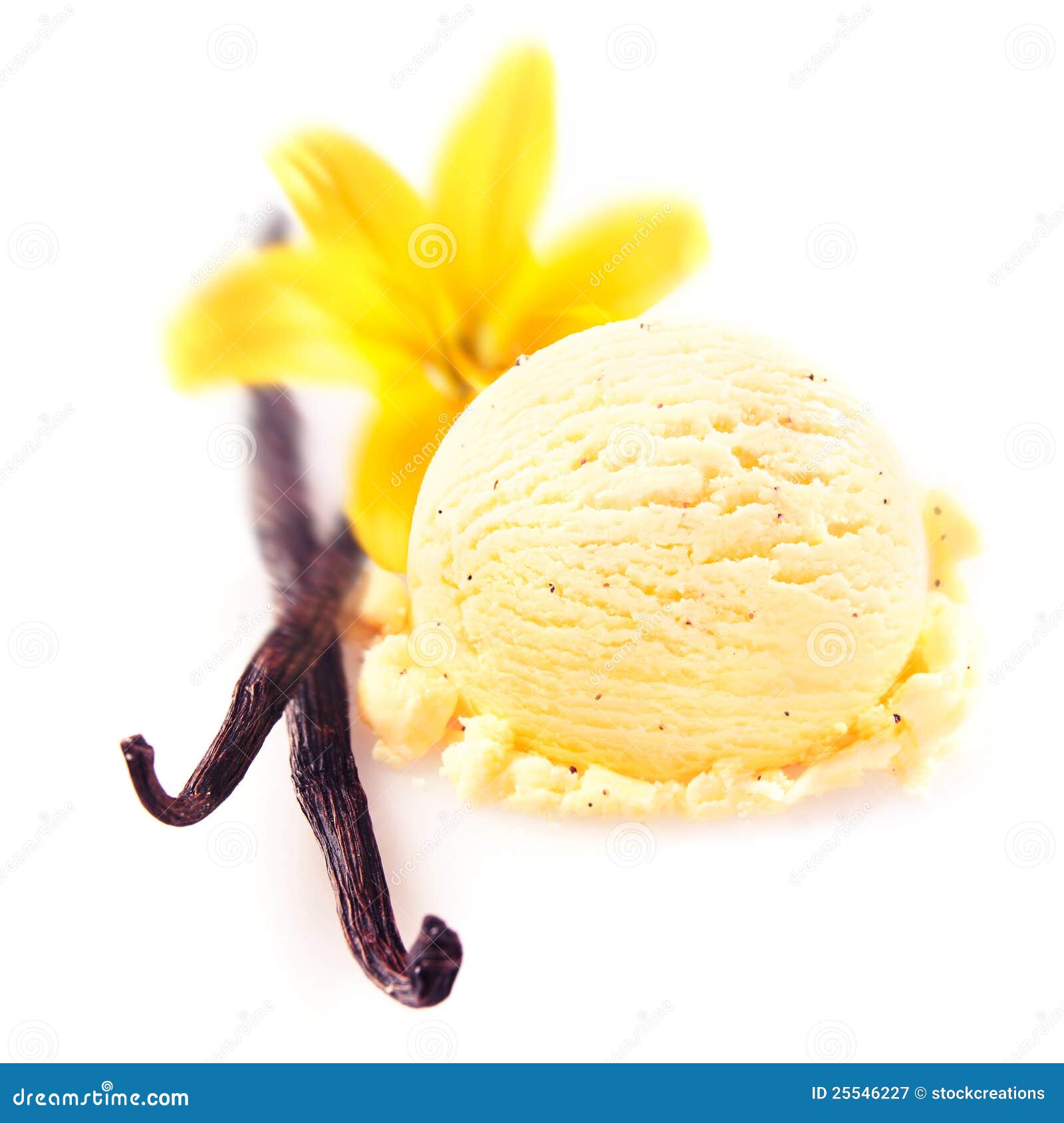 Vanilla pods with icecream stock image. Image of flavouring - 25546227
