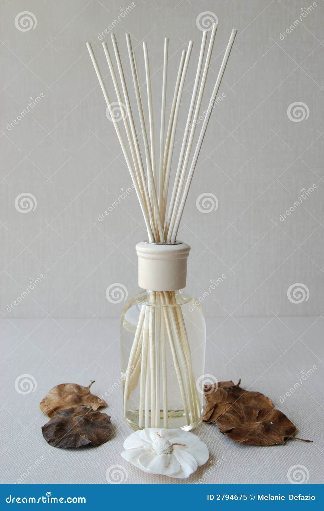 Vanilla potpourri stock image. Image of wood, liquid, dried 2794675