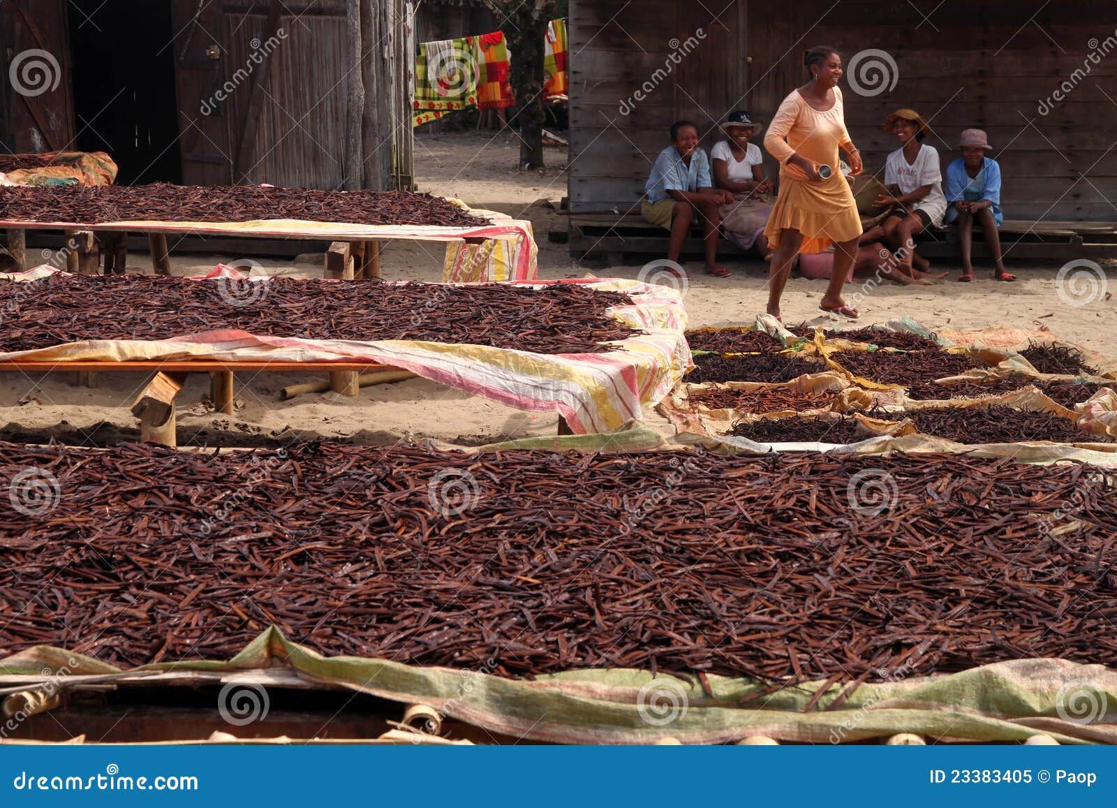 Vanilla village editorial image. Image of built, cuisine 23383405