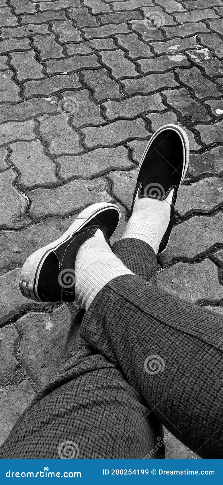 vans slip on pro black white