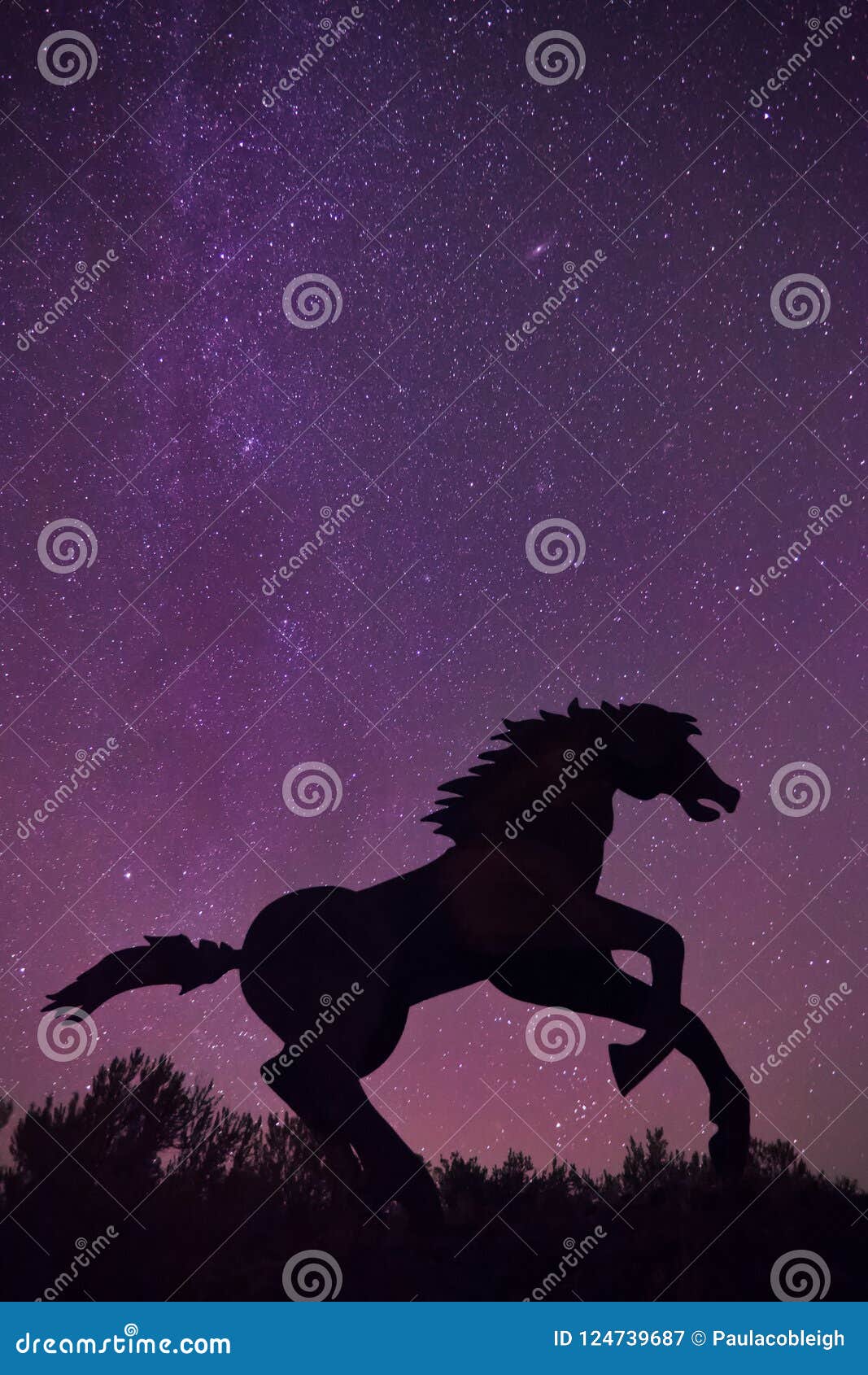 vantage horses wild monument and stars