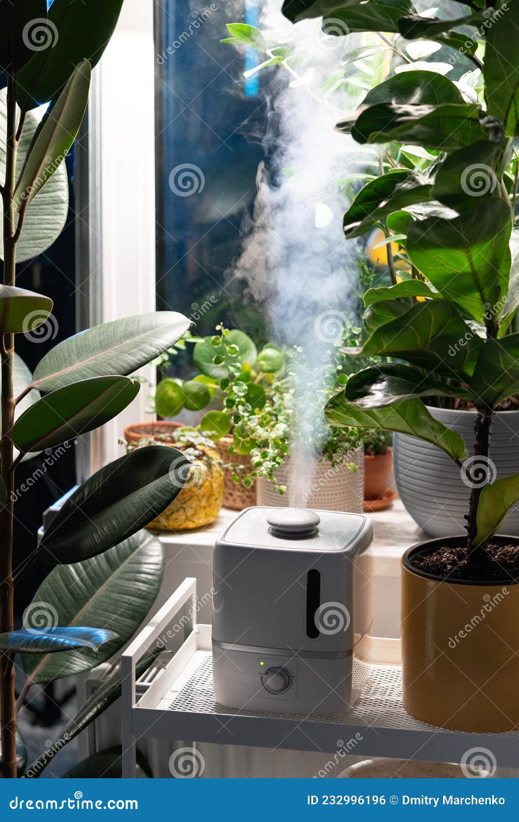 Vapeur de l'humidificateur, humidifie l'air sec entouré de plantes