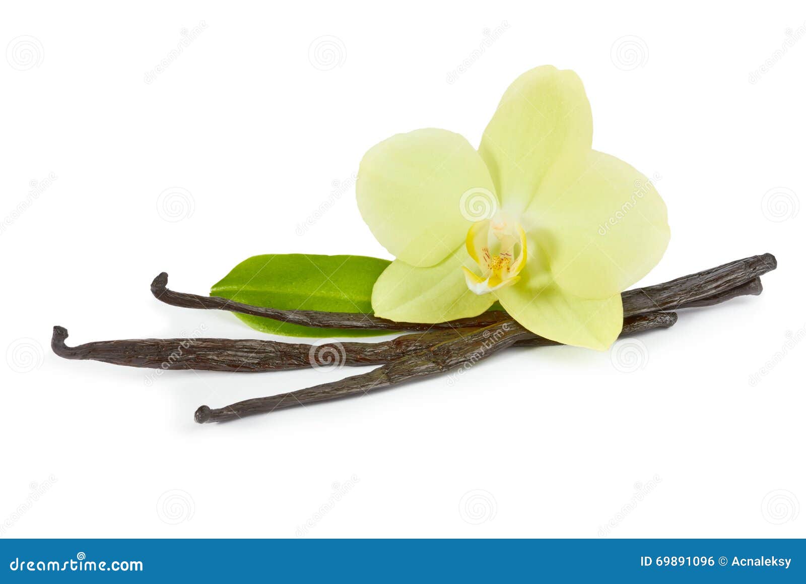 Varas Da Baunilha E Orquídea Amarela Com Folha Verde Foto de Stock - Imagem  de tempero, sabor: 69891096