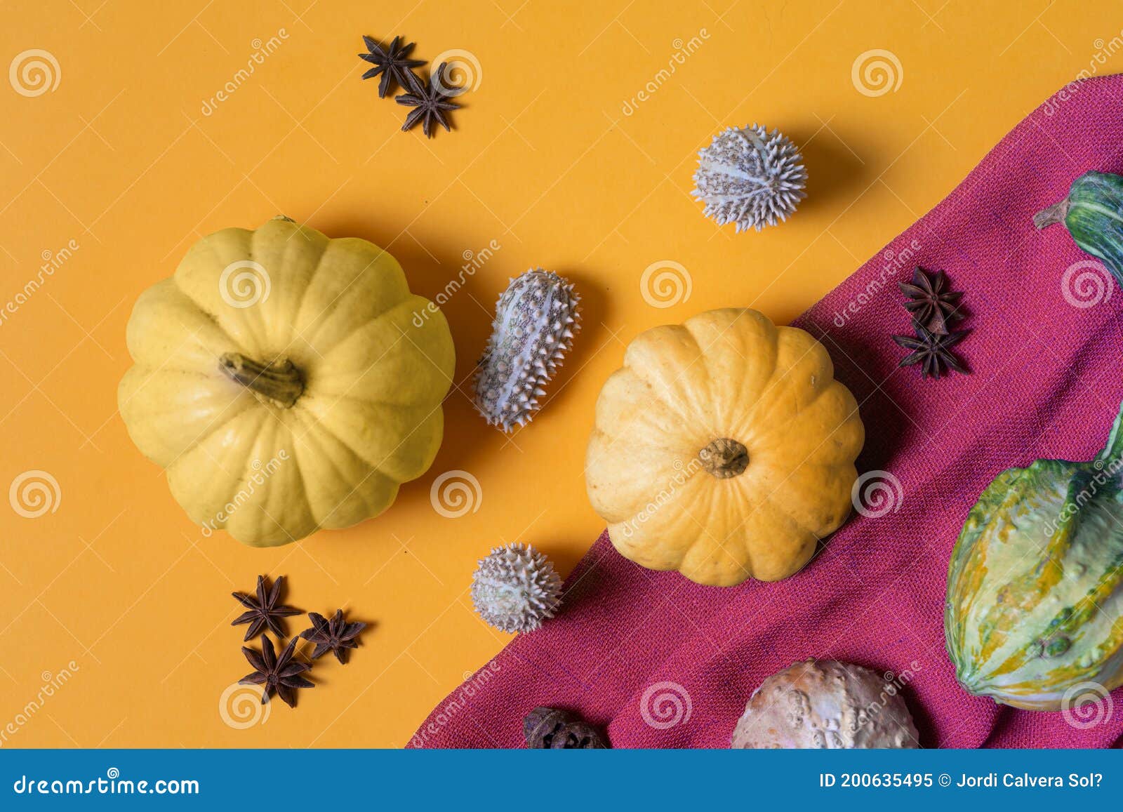 387 Differentes Sortes De Courge Photos Libres De Droits Et Gratuites De Dreamstime