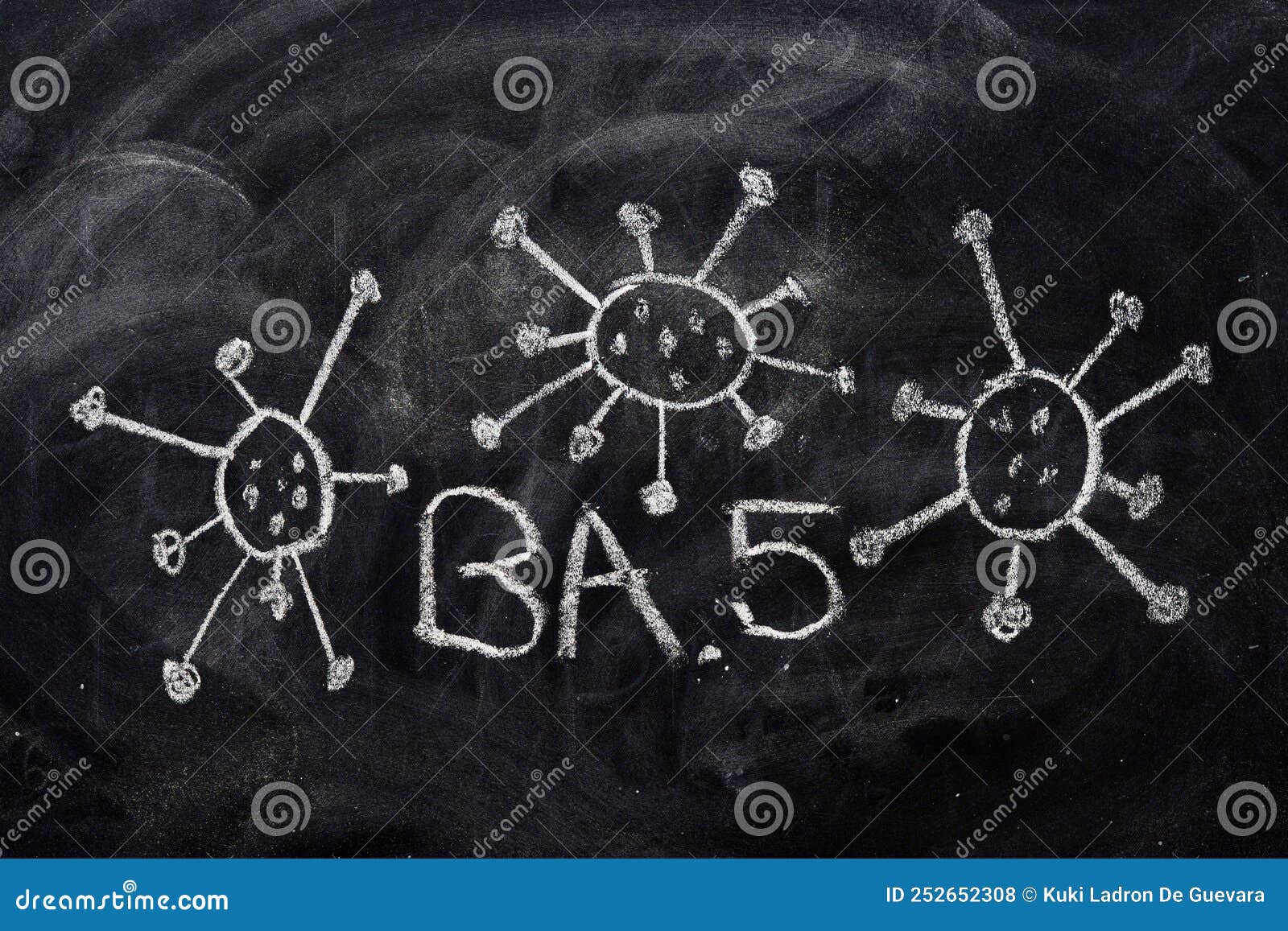 variant of the covid 19 virus, omicron, ba. 5