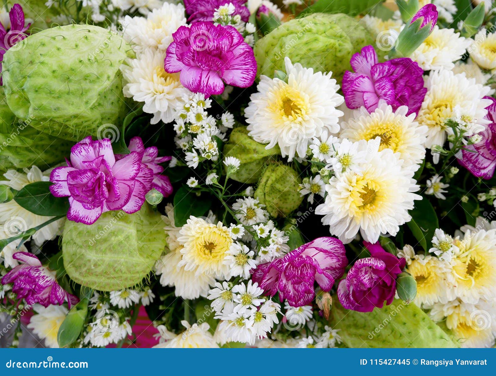 Varias flores coloridas imagen de archivo. Imagen de verano - 115427445