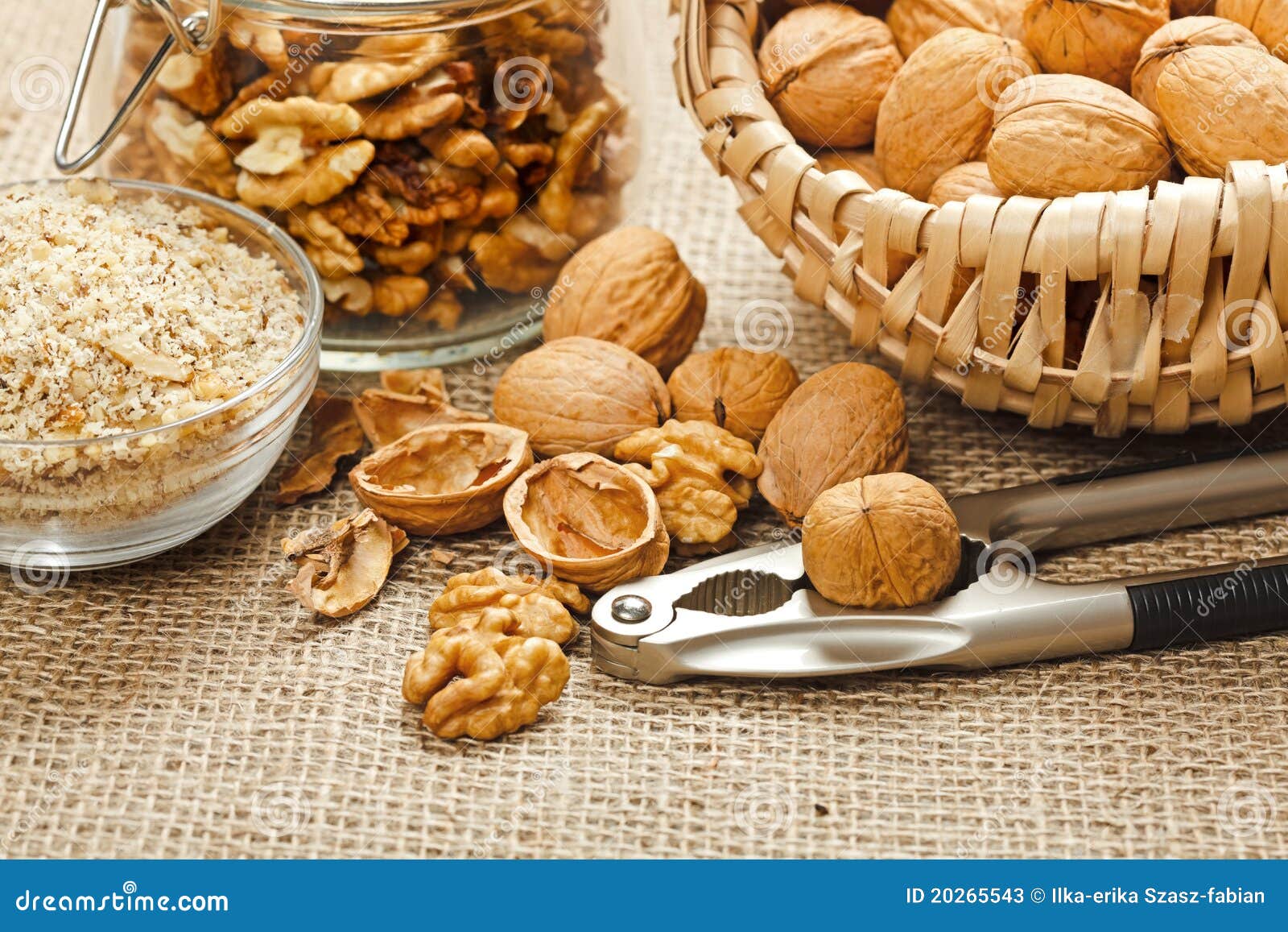 Variations of walnut stock image. Image of shell, basket 20265543