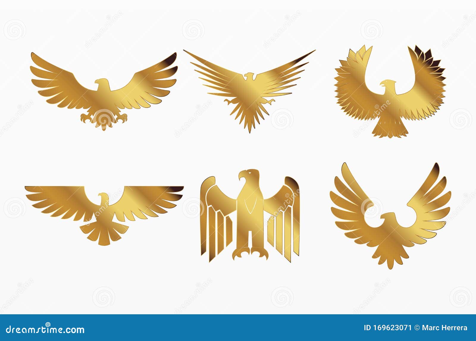 Variedad de águila dorada stock de ilustración. Ilustración de aristocracia  - 169623071
