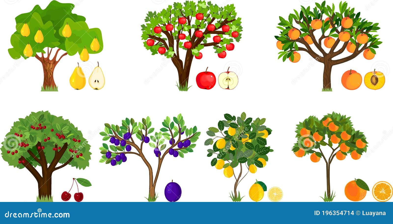 Variedad De árboles Frutales Con Frutos Maduros Tiempo De Cosecha  Ilustración del Vector - Ilustración de fondo, fruta: 196354714