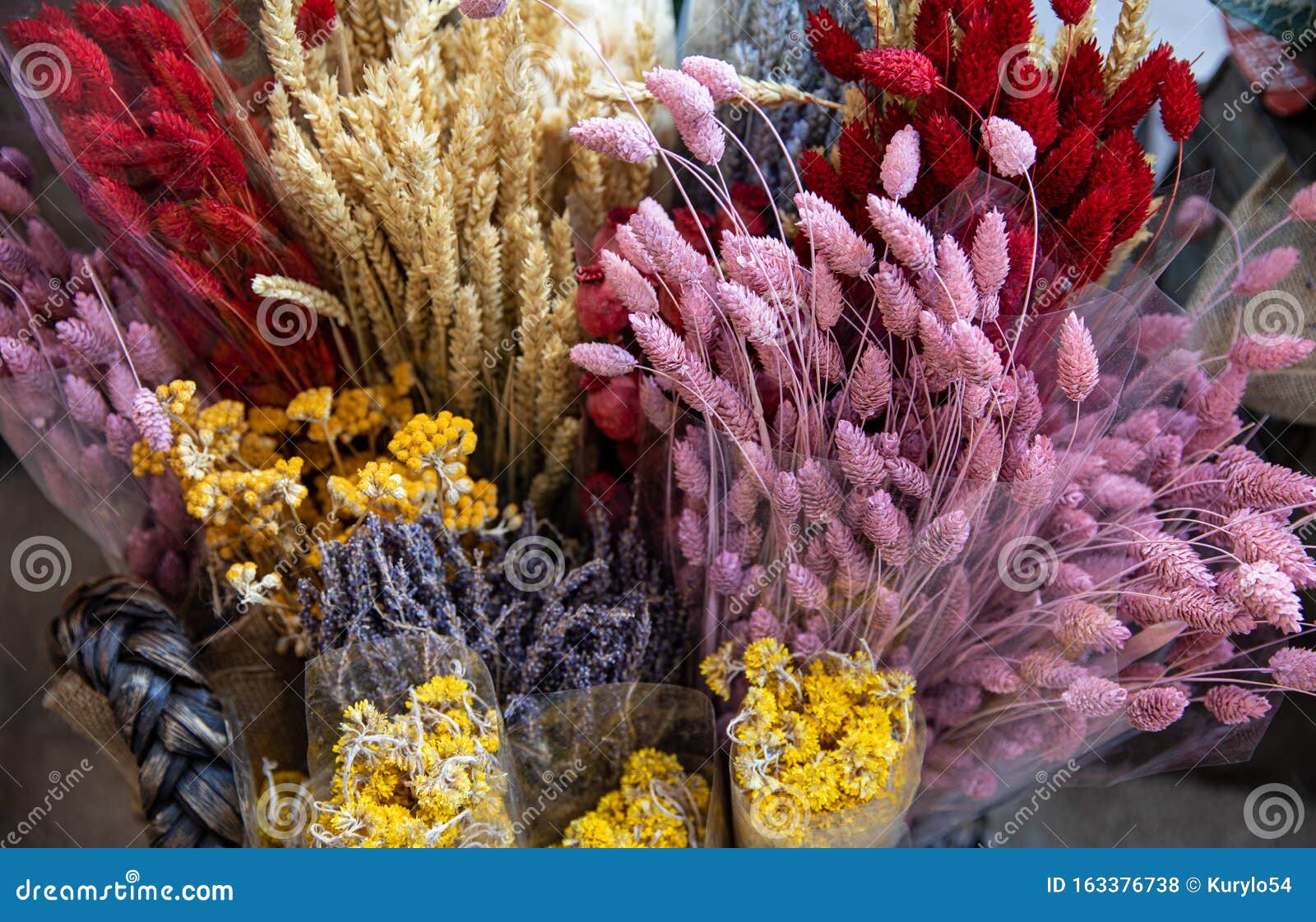 Variedad De Flores Naturales Secas De Plantas Hogar Flores Eternas Ramo De  Césped Floral Gemas Multicolores, Lavanda, Tansy Foto de archivo - Imagen  de color, fondo: 163376738