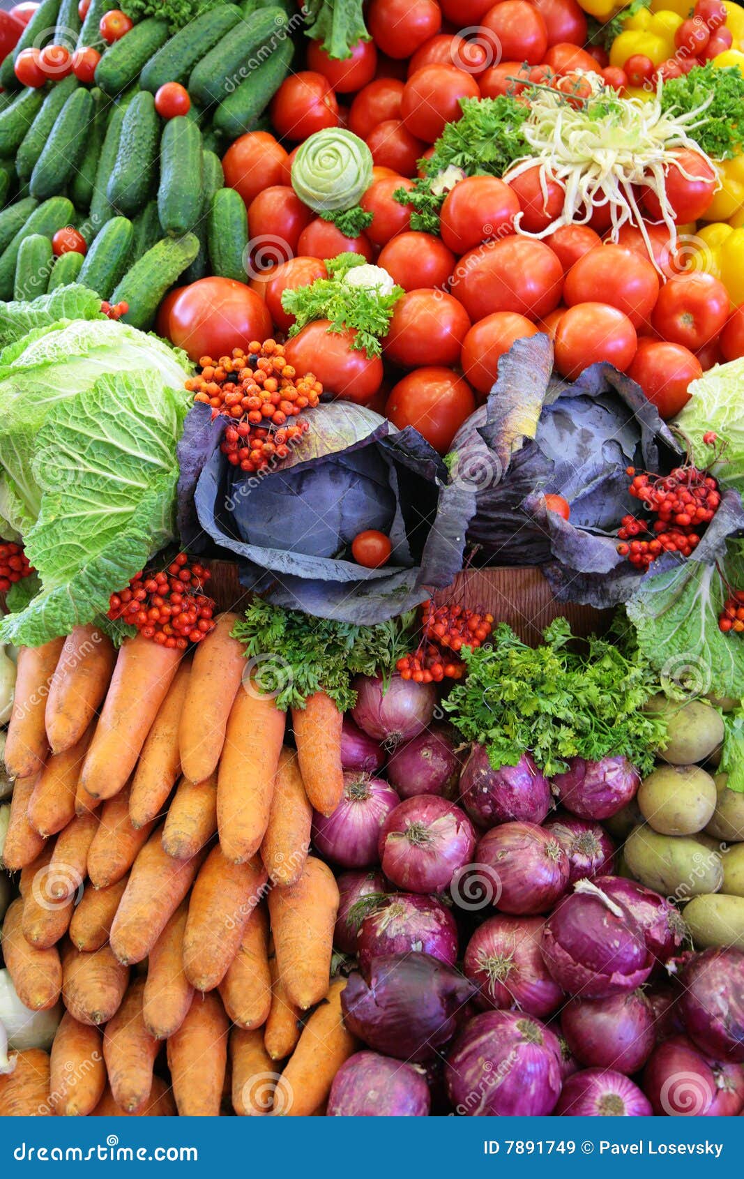 Varietà Della Verdura Fresca, Foto Verticale Immagine Stock - Immagine di  grezzo, pasto: 7891749