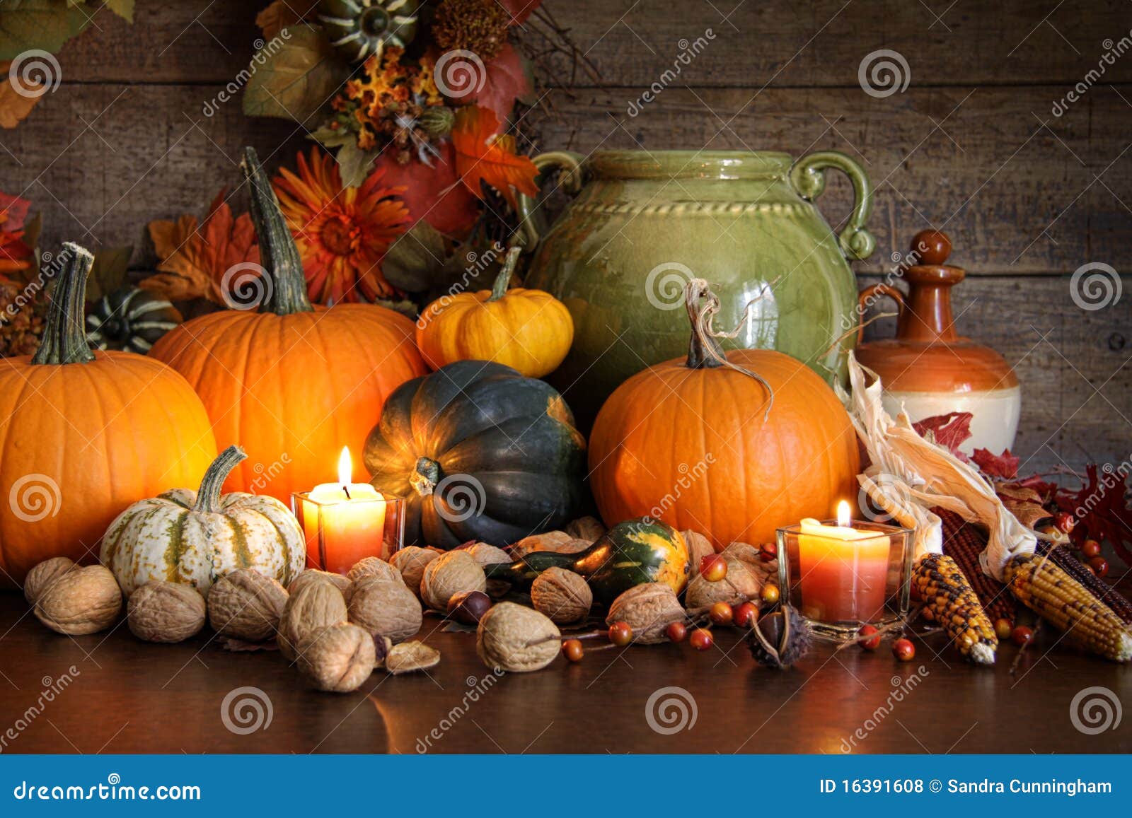 Varietà festiva di autunno di zucche e di zucche