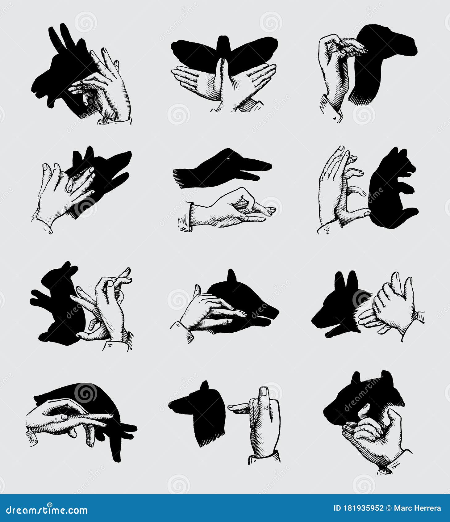 Variety of Animal Shadows Set Stock Vector - Illustration of hand, painting: 181935952 Variety of Animal Shadows Set Stock Vector - Illustration of hand, painting: 181935952