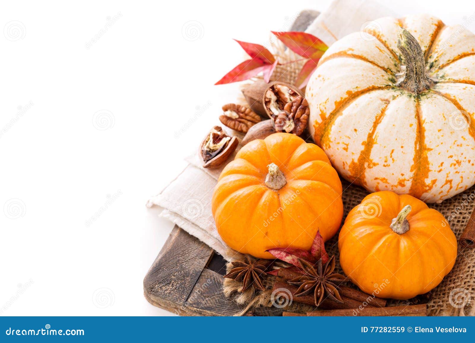 Variety of Decorative Pumpkins on White Background Stock Image - Image ...