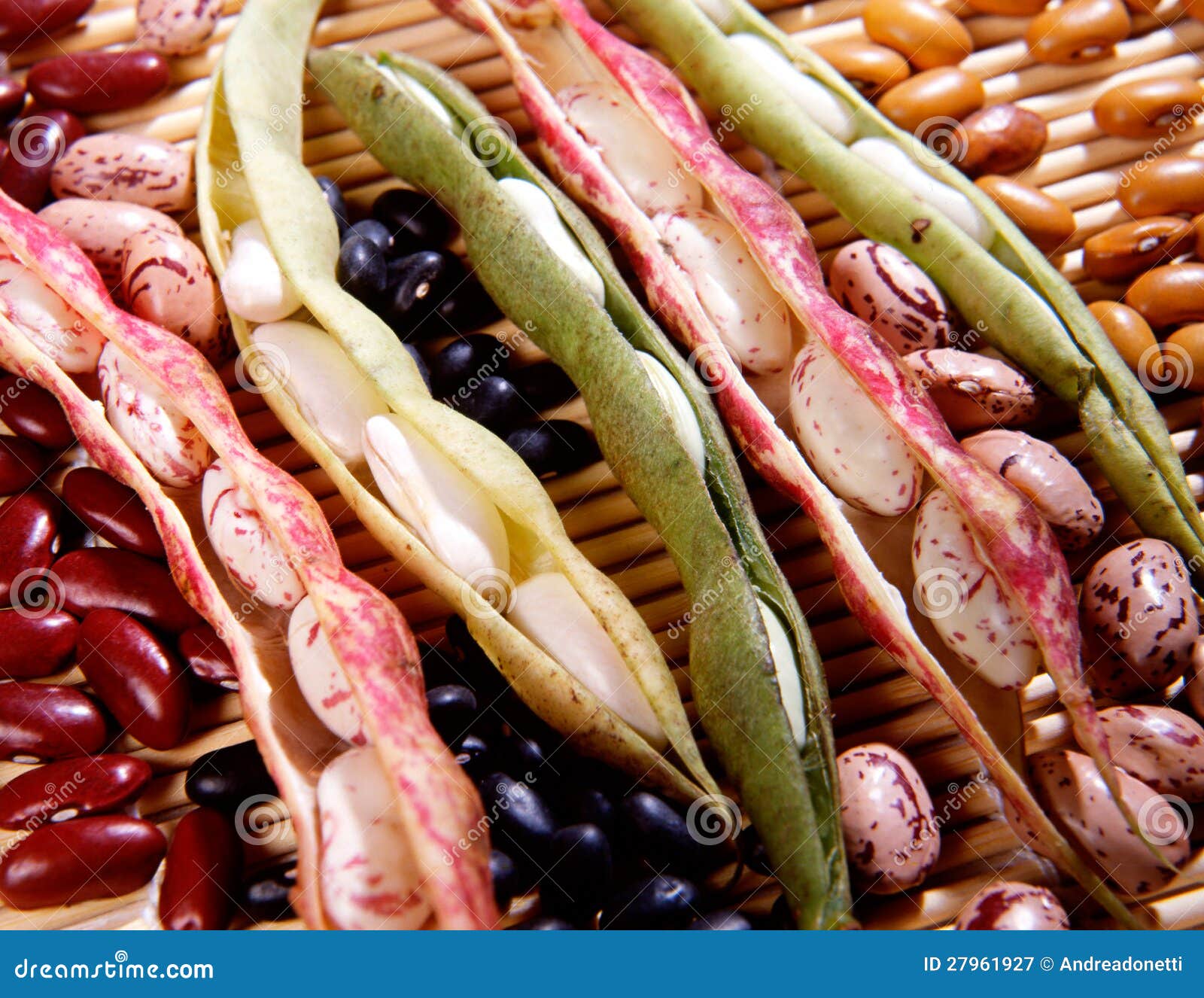 Variety of dried beans stock image. Image of pods, ingredient 27961927