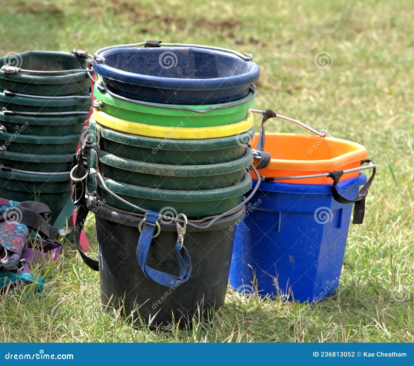 A Variety of Feed and Water Buckets. Stock Photo Image of feed