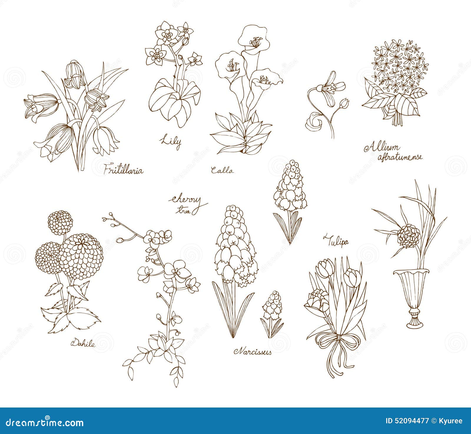 Drawing Of Flowers With Name Max Installer max installer blogger com