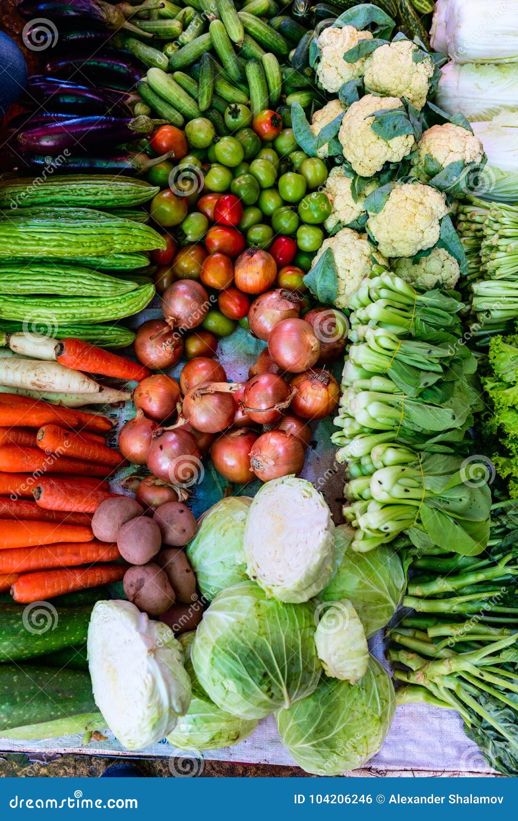 Herbs stock photo. Image of vegetarian, food, cuisine 104206246