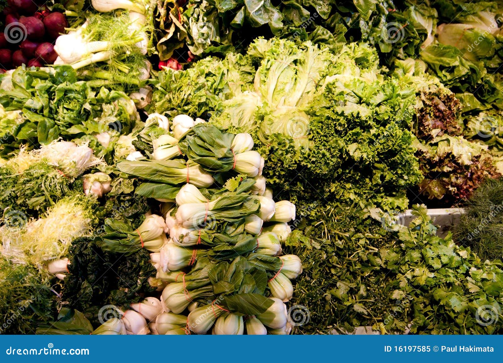 Variety of Green Vegetables Produce Stock Image Image of cabbage