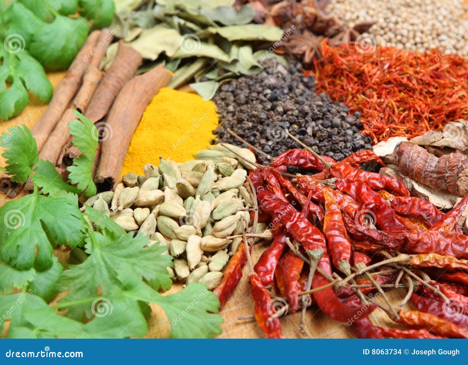 Variety of Indian Curry Spices Stock Photo Image of color, background
