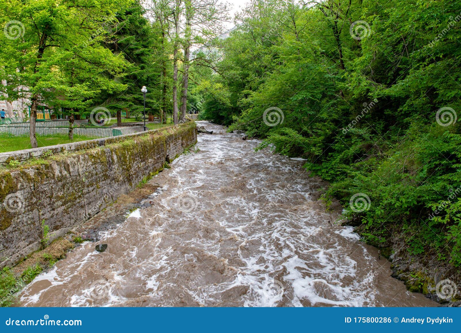 A Variety Of Mountain Rivers With Lots Of Trees And Crystal Clear