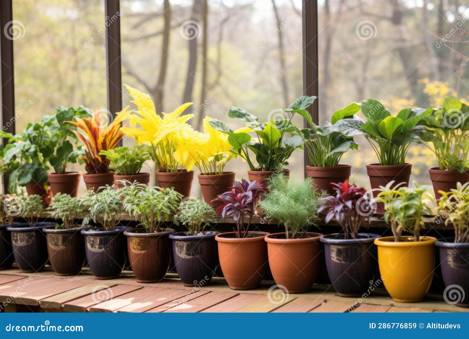 Variety of Plants Thriving in a Row of Smart Pots Stock Image Image