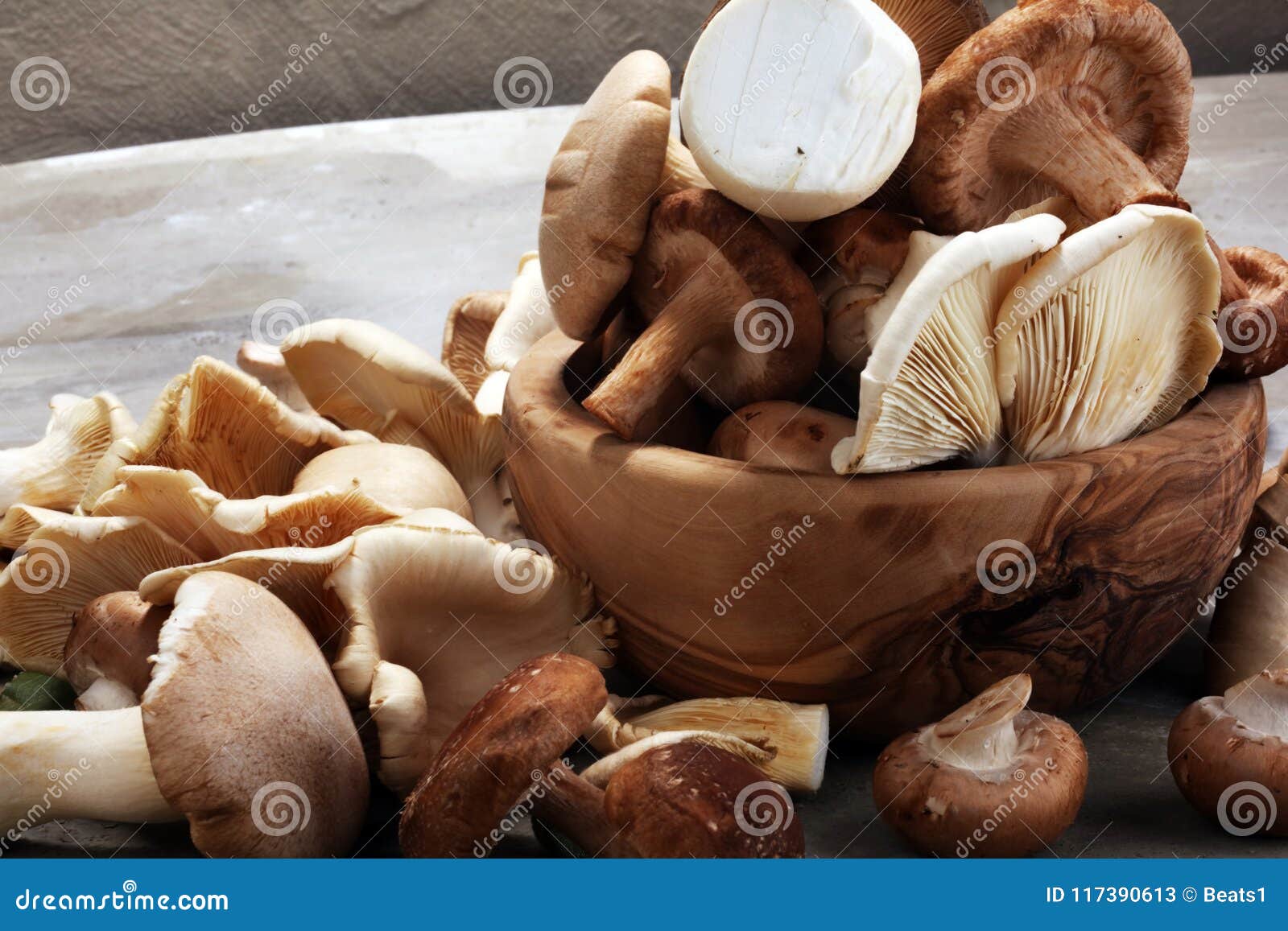 variety of raw mushrooms on grey table. oyster and other fresh m