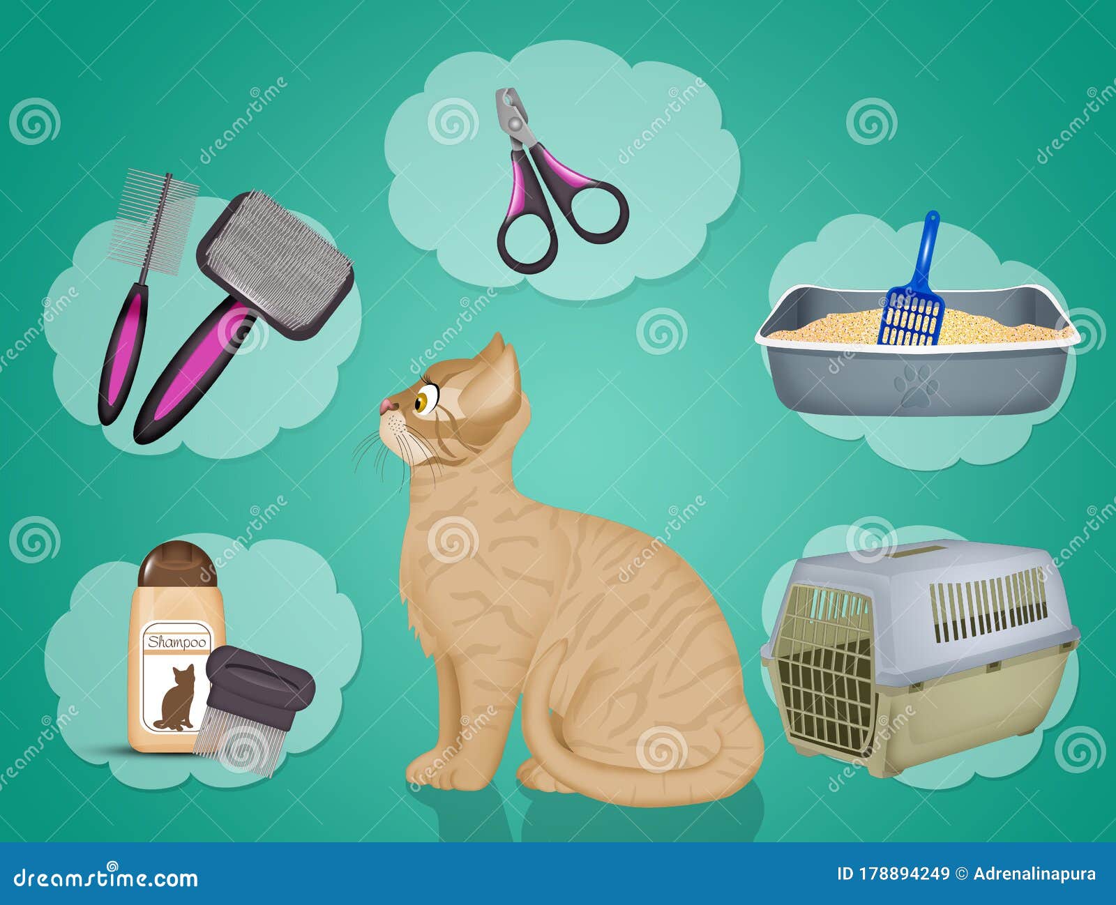 Various Accessories for Cats Stock Illustration Illustration of