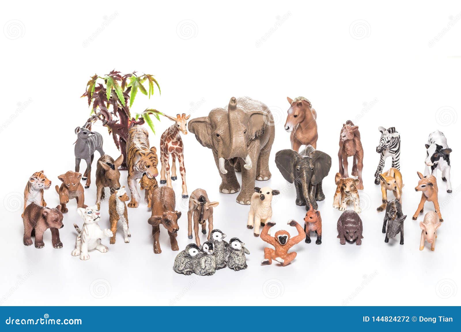 Various animal model toys stock photo. Image of games 144824272