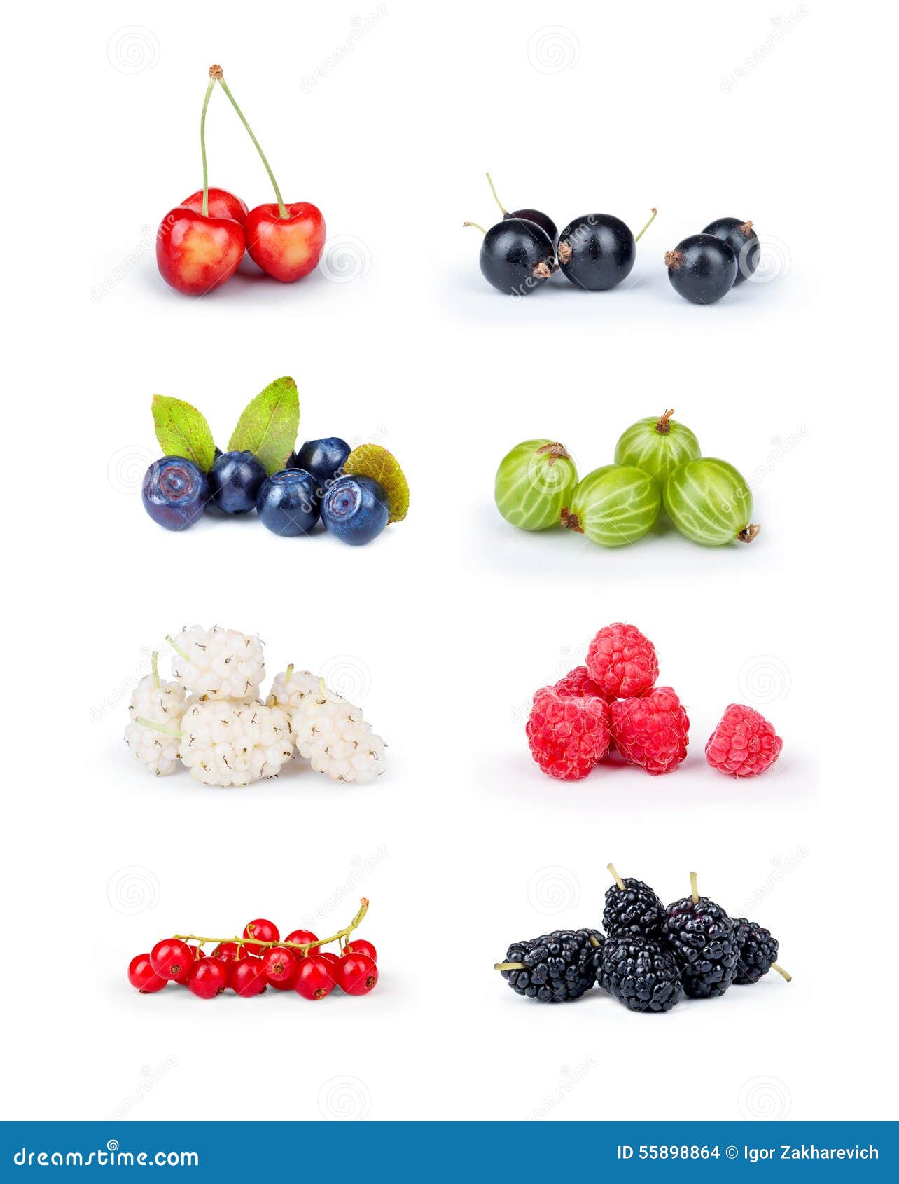 Various berries stock photo. Image of fresh, mulberry 55898864