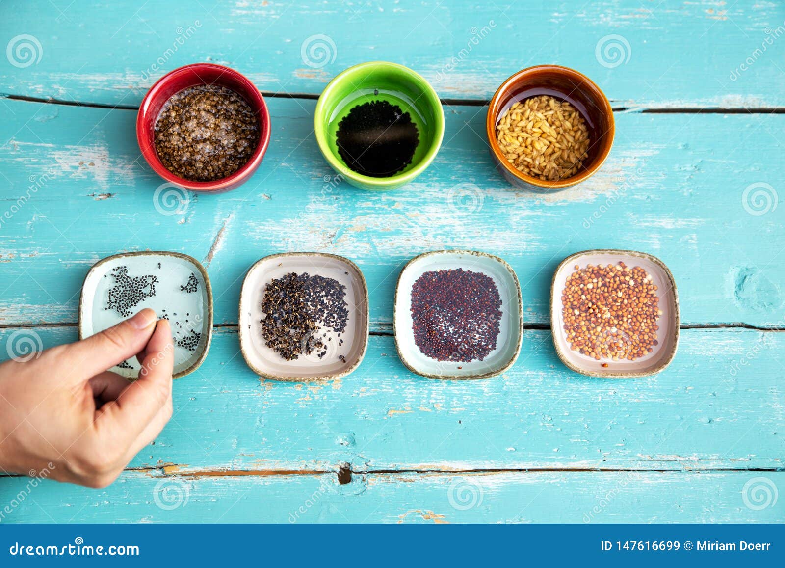 various bowls, filled with water and microgreen sprouts in it