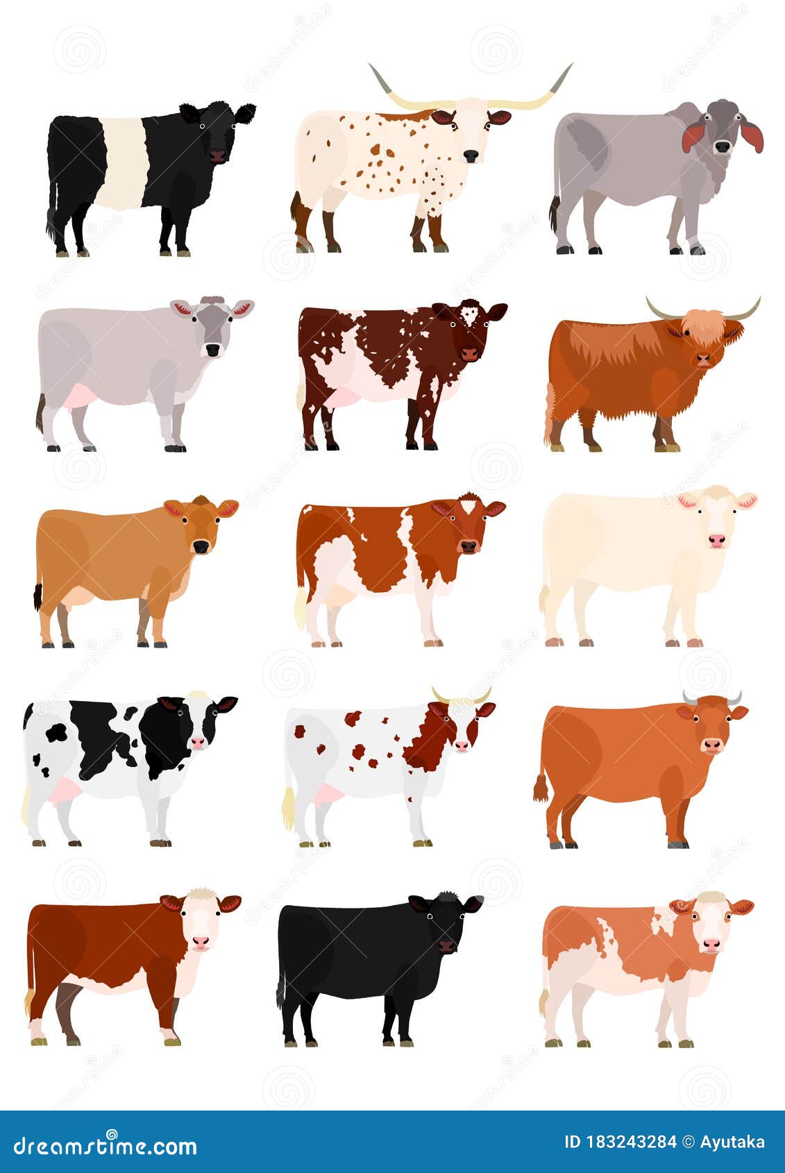 various breeds of cows set