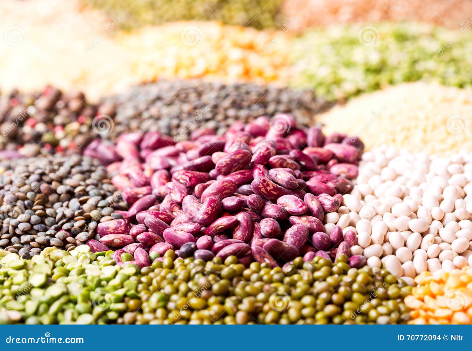 Various Cereals, Seeds, Beans and Grains Stock Photo Image of still