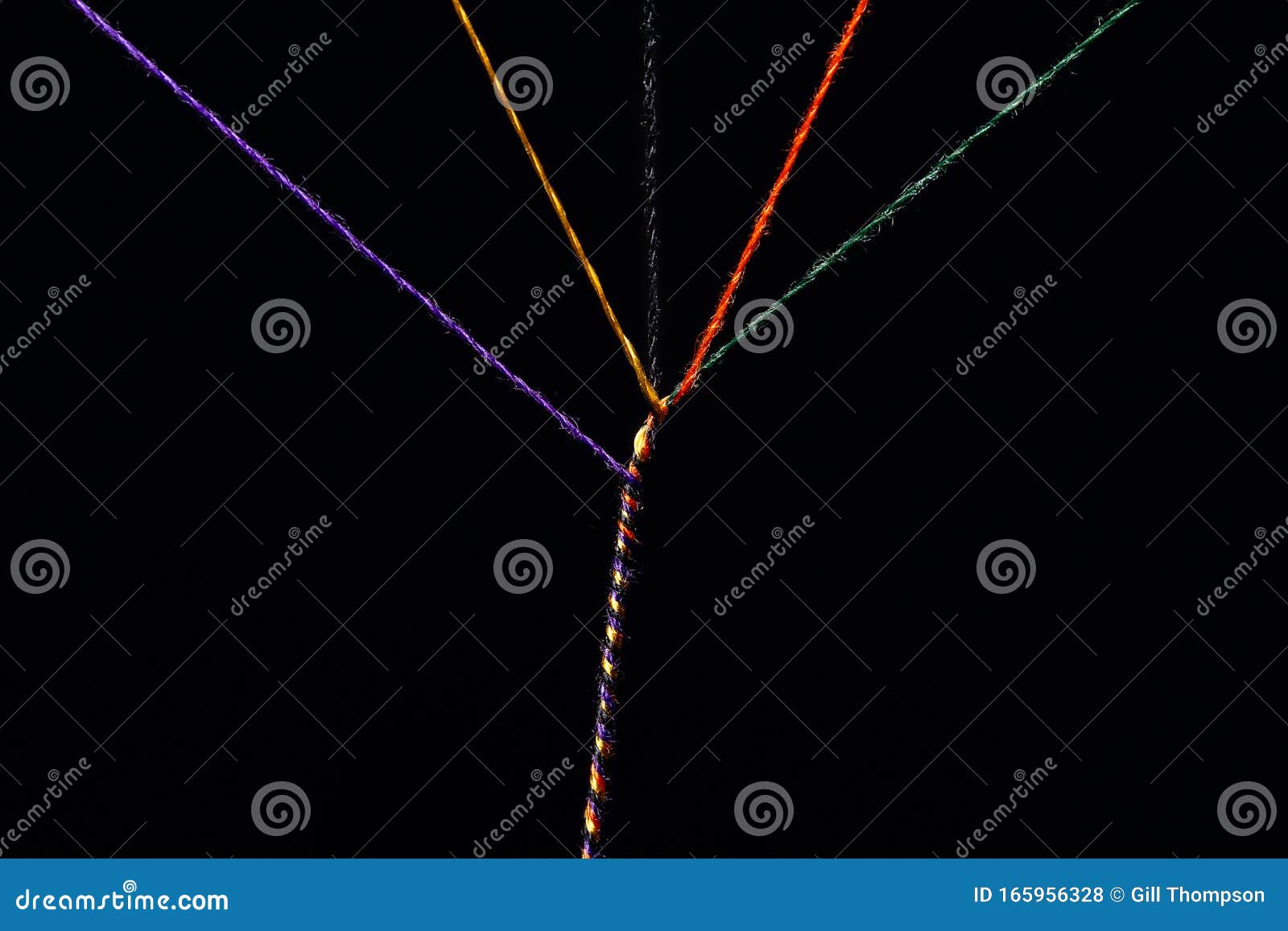 5 various colored threads which are twisted into a single thick multi colored thread.  room for copy left and right