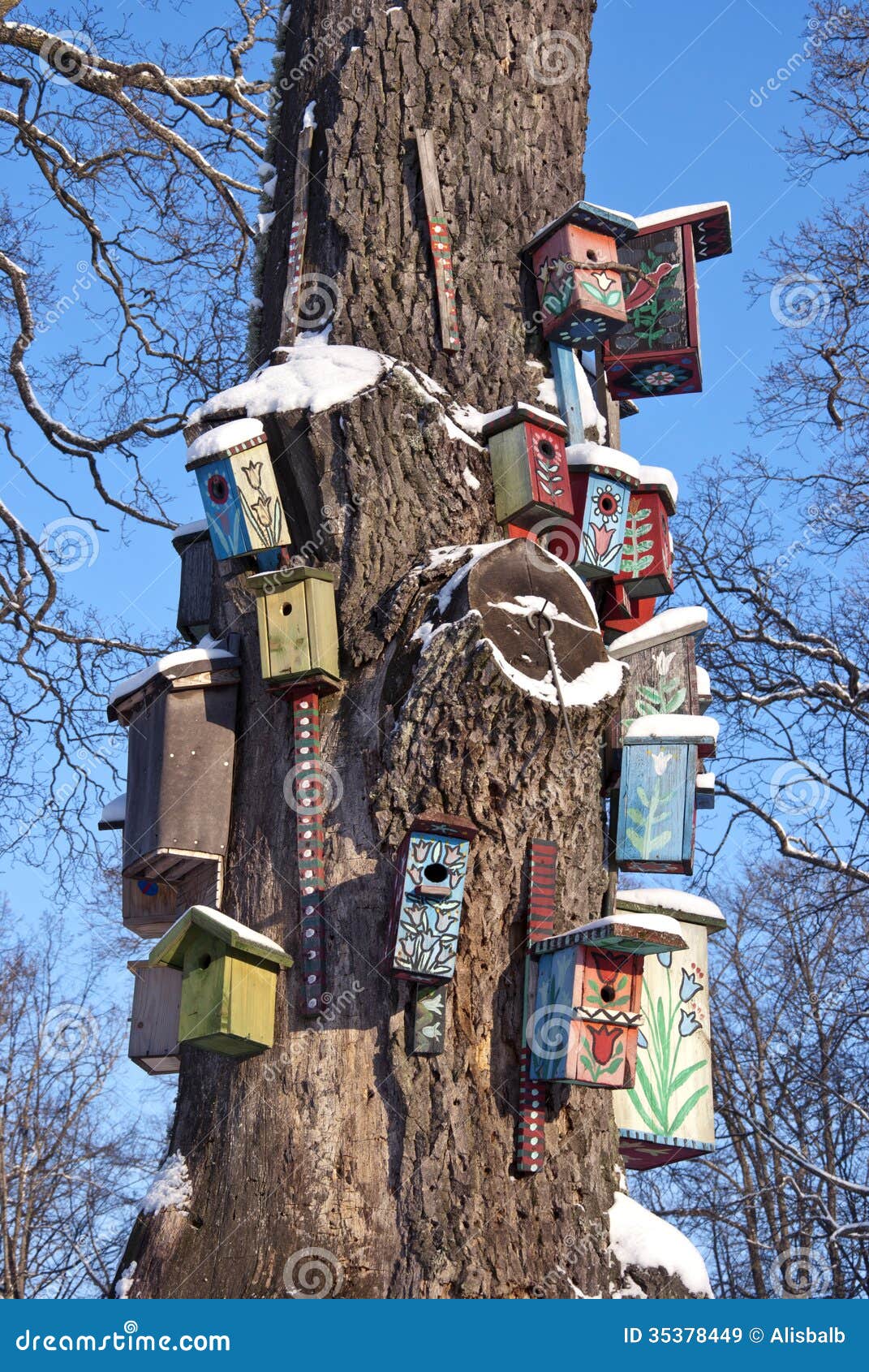 Various Colorful Bird Nest Boxes Houses Hang On Old Tree 