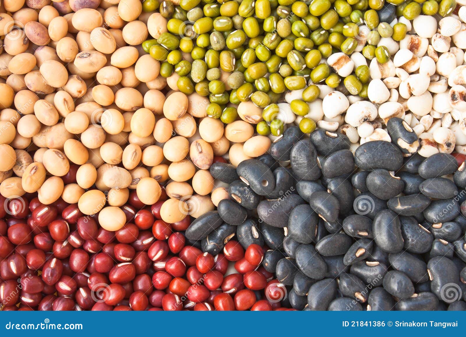 Various Colorful Dried Legumes Beans Stock Photo Image of background