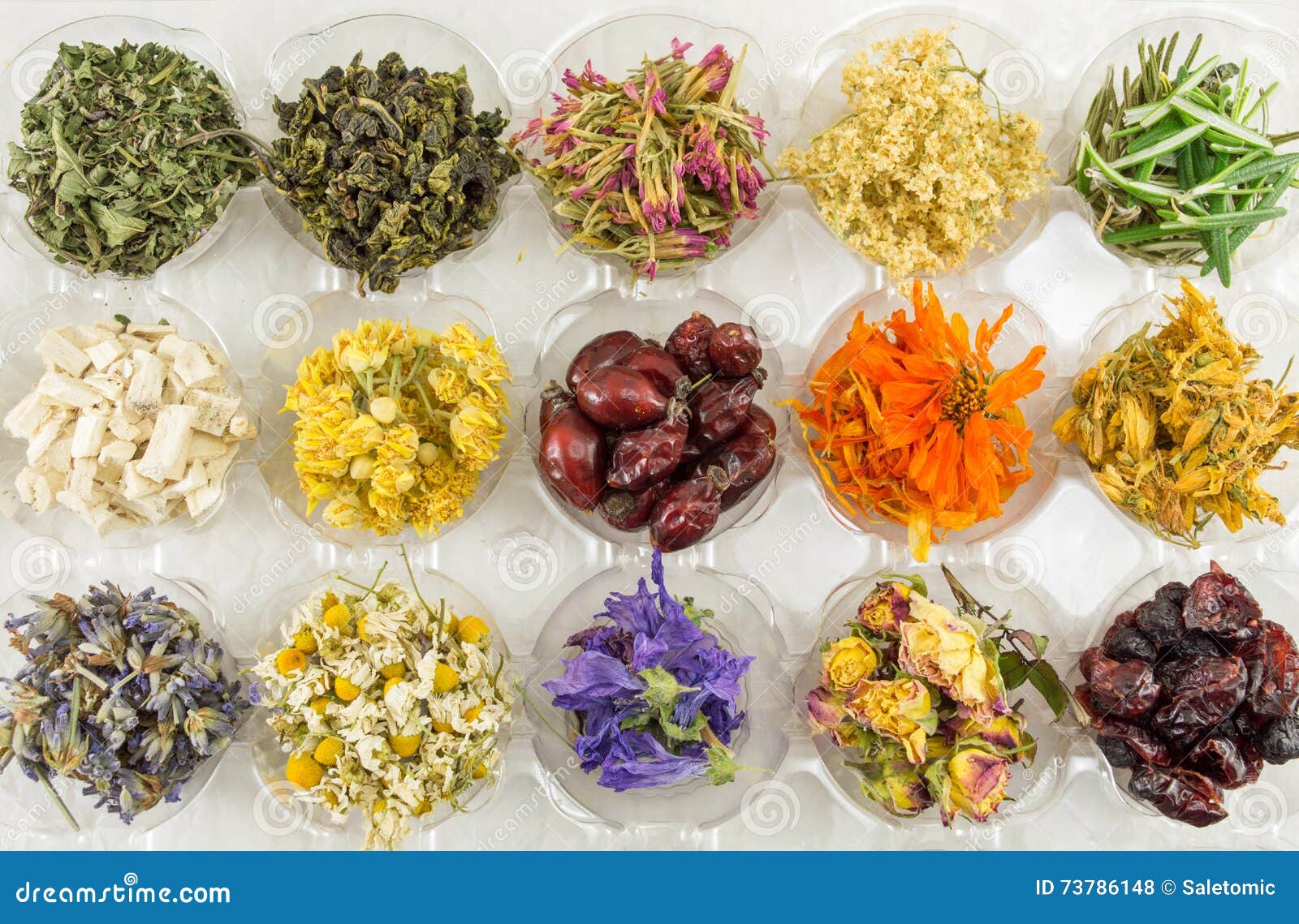 Various Dried Plants for Making Perfect Tea Stock Photo - Image of