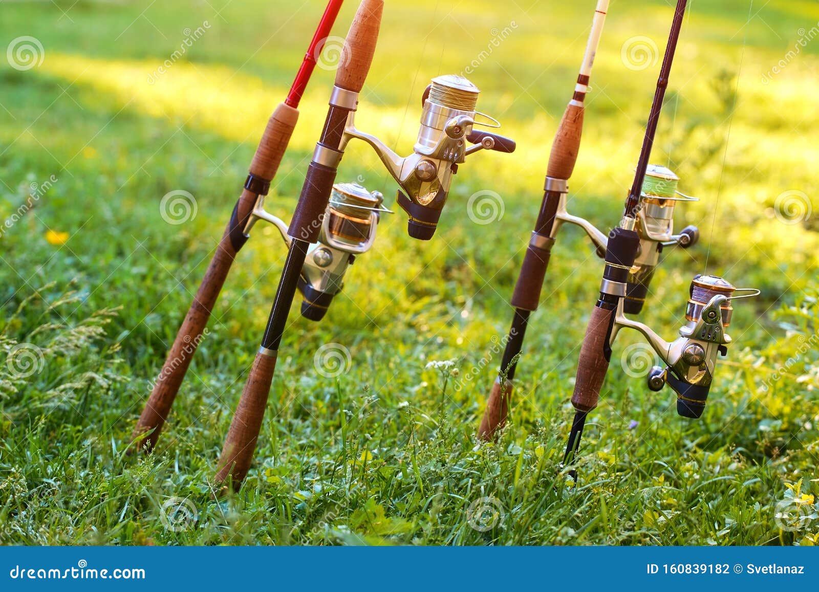 Various Fishing Rods and Reels on the Background of Green Grass Stock Photo  - Image of background, fishing: 160839182