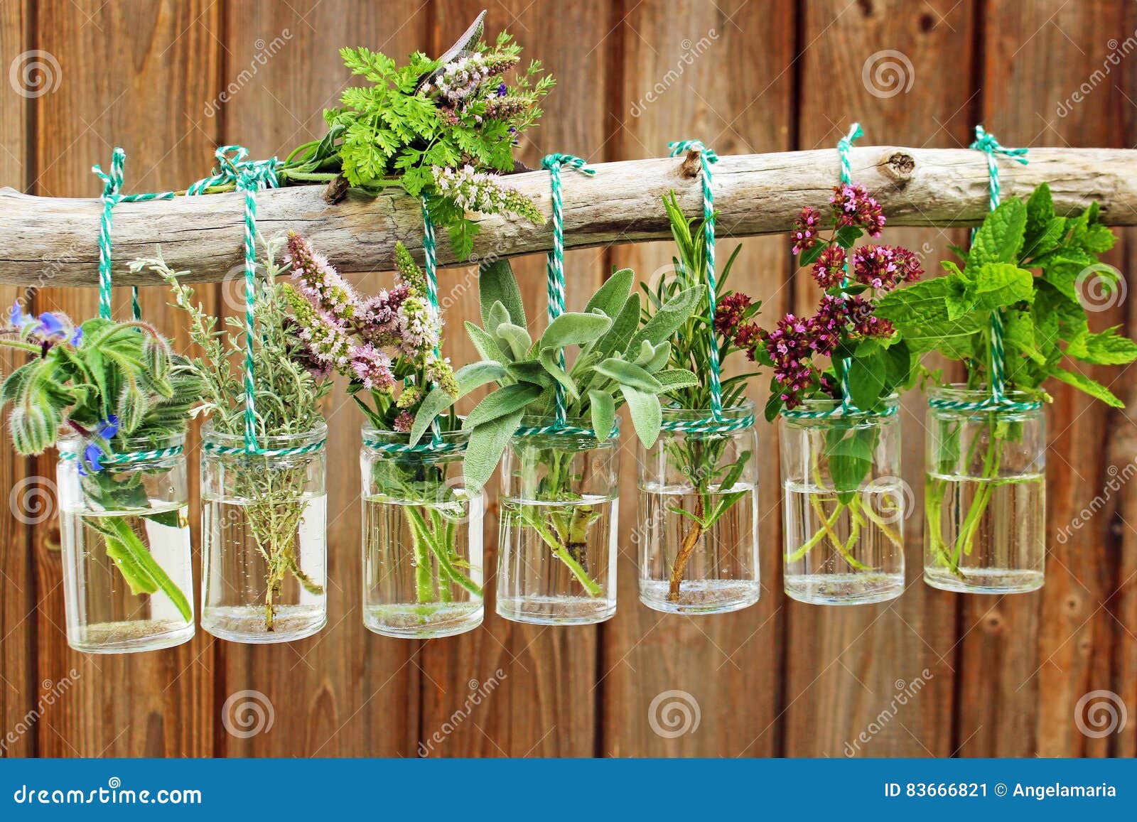 various fresh herbs