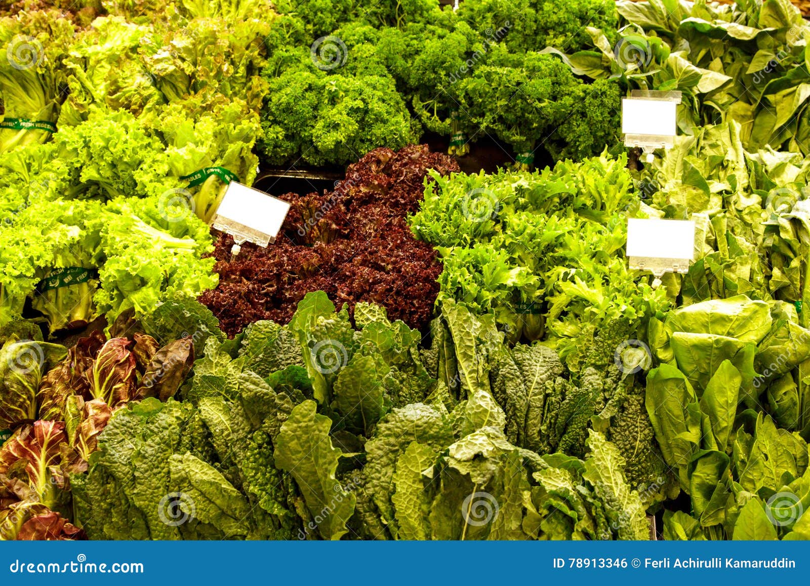 Various of Fresh Vegetables at Grocery Store Stock Photo Image of market, lolorosa 78913346